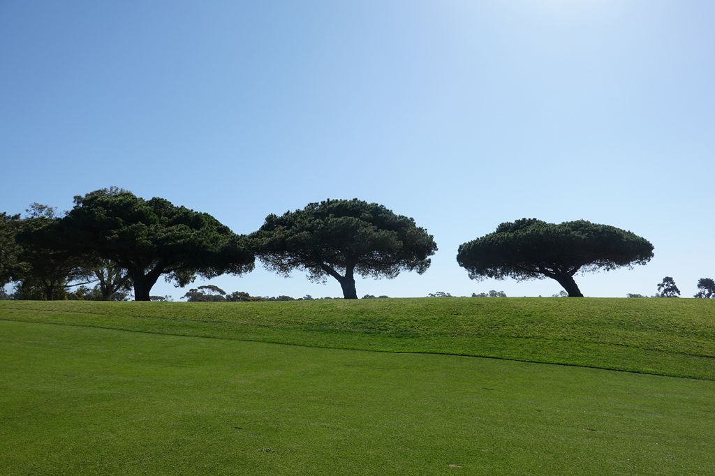 14th Hole at Torrey Pines Golf Course (North) (451 Yard Par 4)